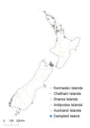 Cardamine subcarnosa distribution map based on databased records at AK, CHR, OTA & WELT.
 Image: K.Boardman © Landcare Research 2018 CC BY 4.0